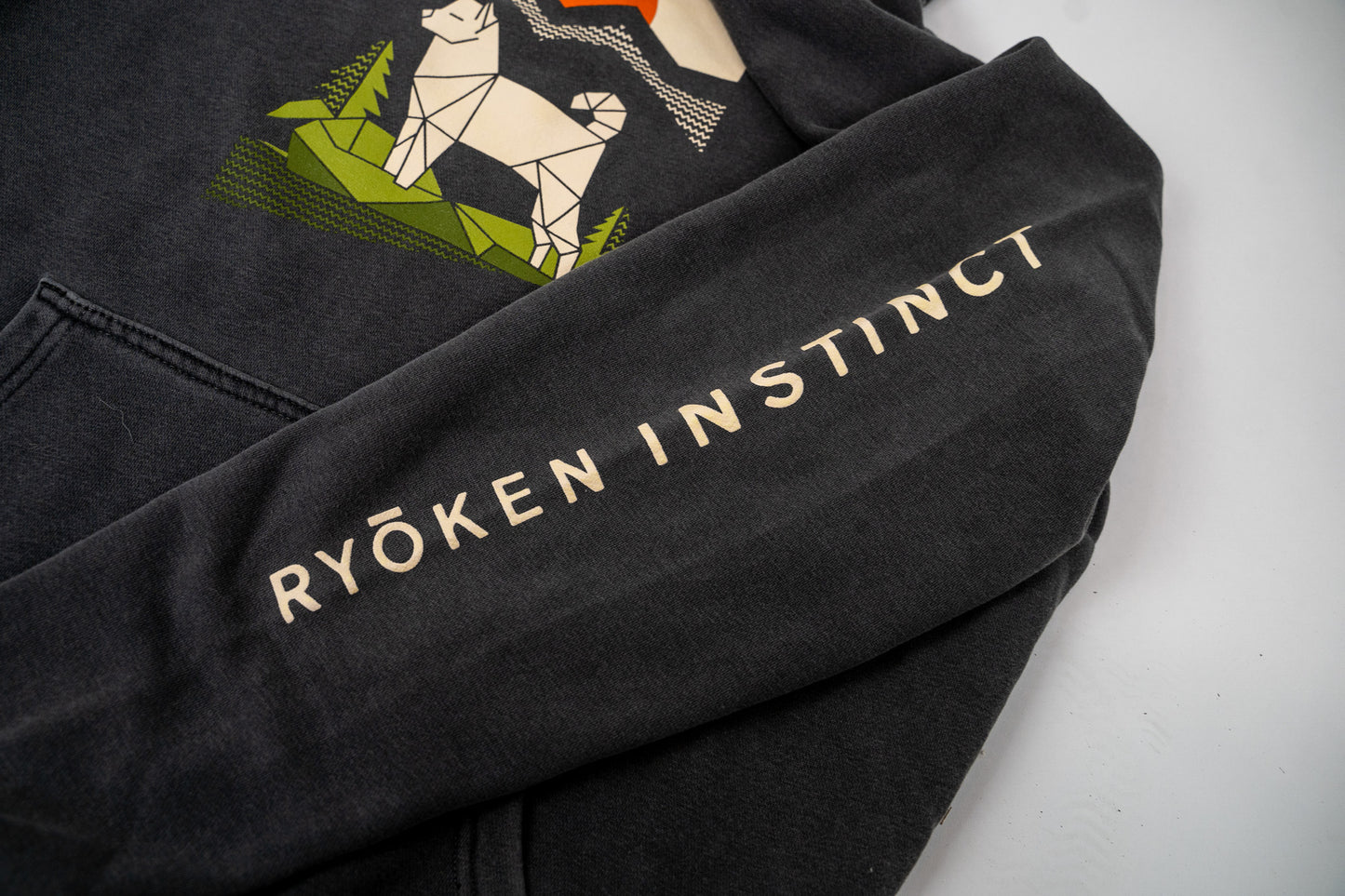 
                  
                    Ryōken Vintage Hoodie
                  
                